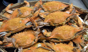 Hot Steamed Crabs Bushel