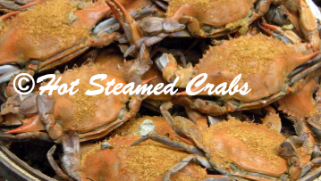 Hot Steamed Crabs & Seafood